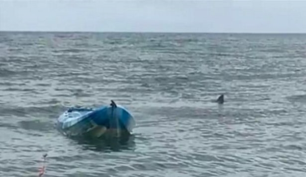 '4.5 m 거대 백상아리'의 공격을 받고 물에 빠진 소녀