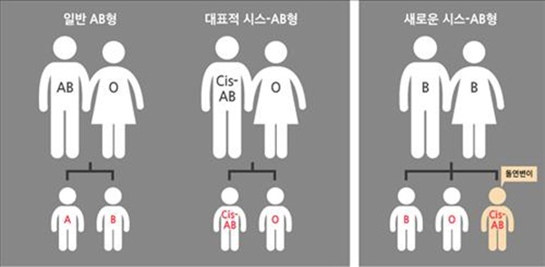 전세계에서 한국에만 존재하는 희귀 혈액형