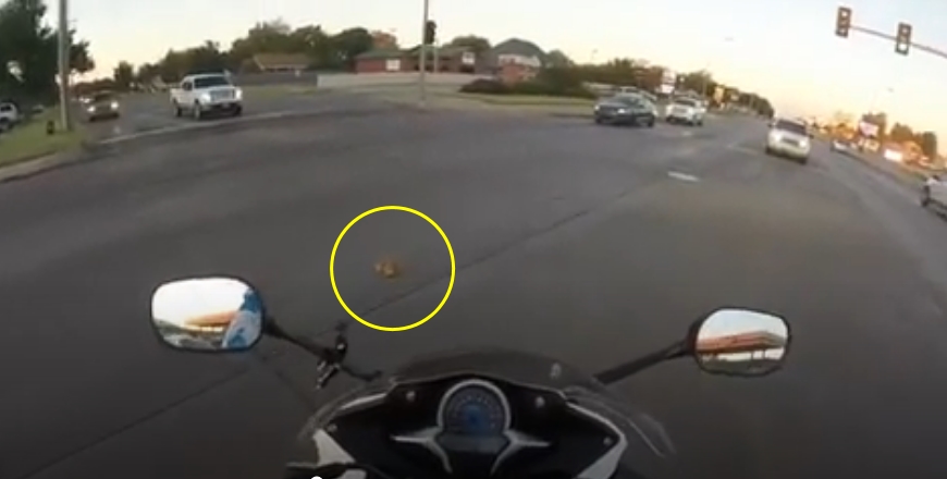 오토바이 운전자는 도로 위에서 무언가를 발견하고 다가가는데...