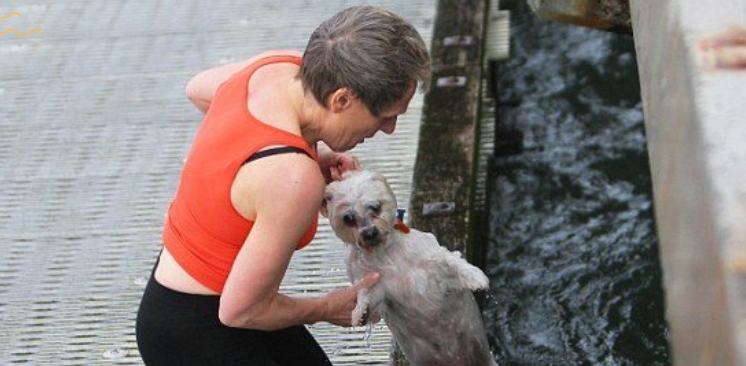 강아지가 물에 빠져 울고있는 여성 앞에 누군가 나타나는데....