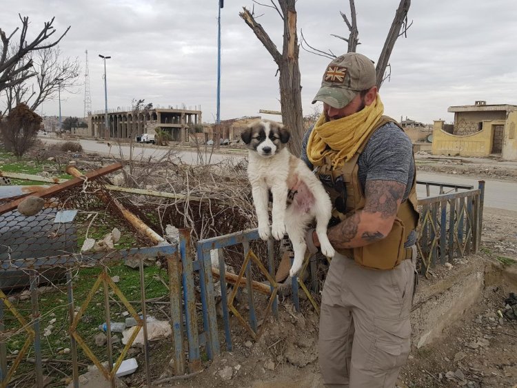 한 군인이 건물 잔해 속 강아지를 구조하자 놀라운 일이 일어나는데...